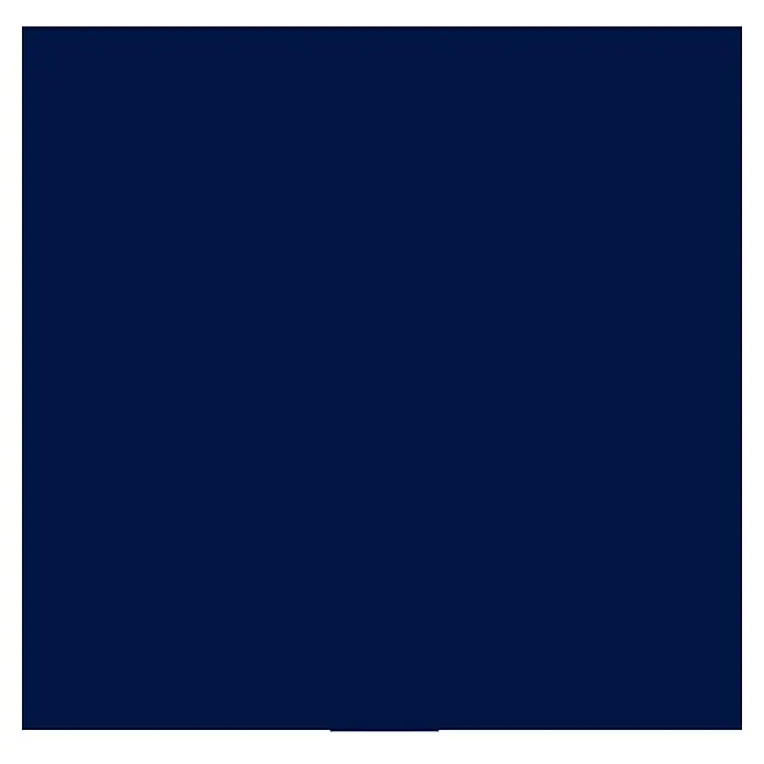 Dupli-Color Color Lackspray RAL 5003 - Saphirblau, Matt, 400 ml - Vorderansicht