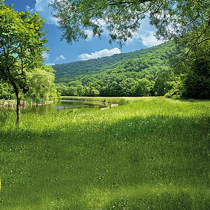 Easy Life Elastic Mrežica za zaštitu od insekata - 130 x 150 cm, Boja tkanine: Bijele boje, Pričvršćivanje čičkom
