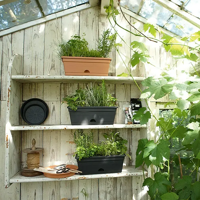 Elho Green Basics Plastična žardinjera Trough mini - Vanjska dimenzija (D x Š x V): 30 x 12 x 11 cm, Plastika, Crne boje - Pogled sprijeda