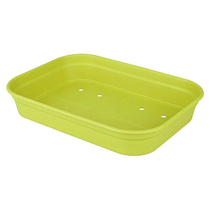 Elho Green Basics Posuda za sadnju biljaka - 36 x 26 x 6 cm, Limeta zeleno - Pogled sprijeda