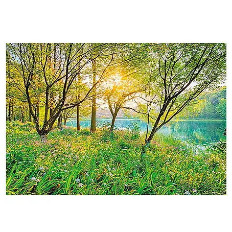Komar  Foto tapeta Spring Lake