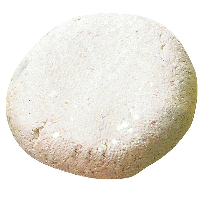 Westline Forellenteig - Knoblauch, 100 g, Dose