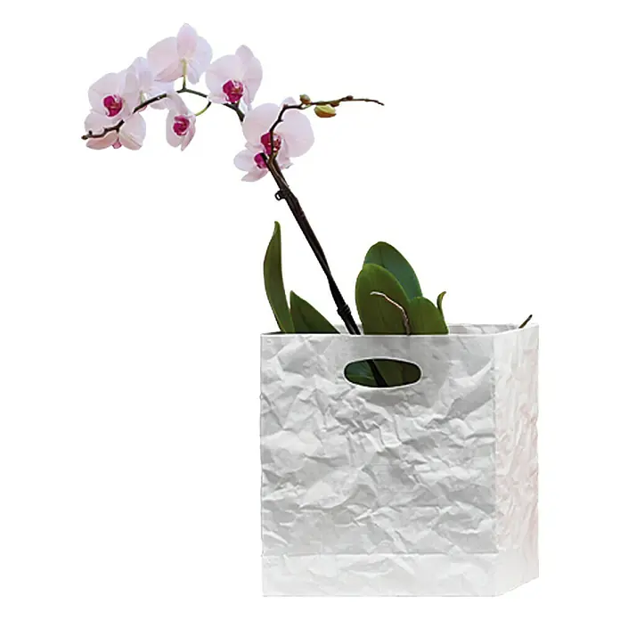 Caja arrugada - Blanco, Plástico - Foto ambiente