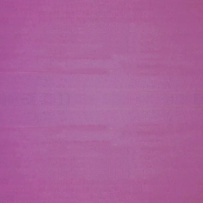 Expo Ambiente Panel zavjesa Basic - Kupina, Š x V: 60 x 300 cm
