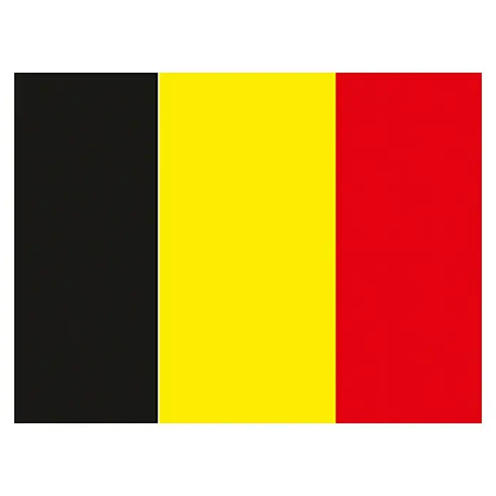 Flagge - Belgien, 30 x 20 cm, Spunpolyester