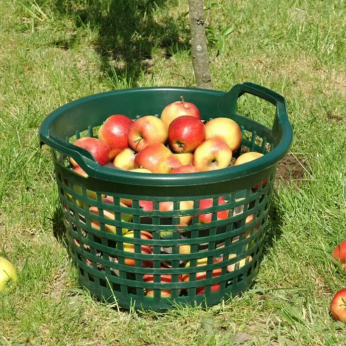 Vrtna kanta - Plastika, 22 l, Zelene boje - Živopisni prikaz