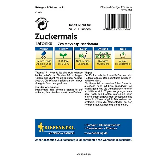 Kiepenkerl Profi-Line Gemüsesamen Zuckermais Tatonka - Zea mays ssp. saccharata, Erntezeit: August - Rückansicht