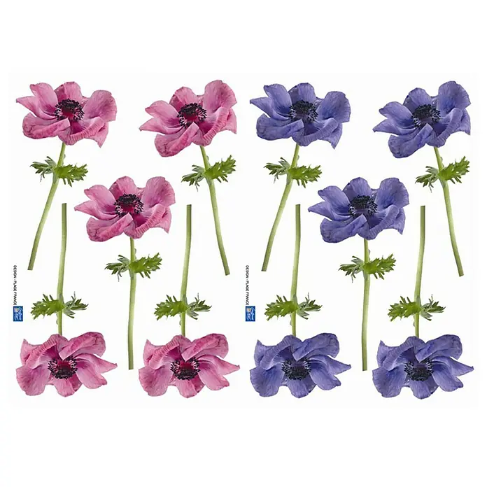 Wandtattoo - Anemonen, 21 x 29,7 cm - Ansicht von oben