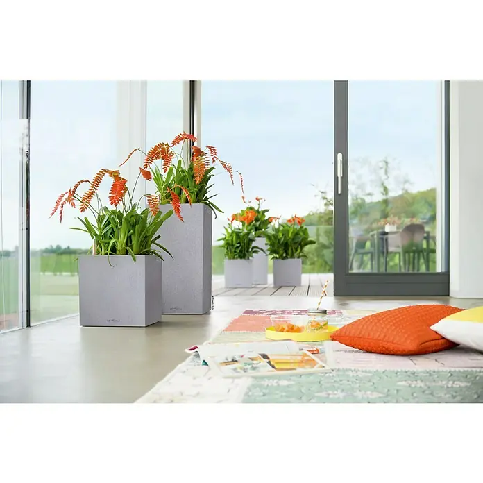 Lechuza Color Pflanzkasten Canto - Außenmaß (L x B x H): 30 x 30 x 30 cm, Kunststoff, Steingrau - Stimmungsaufnahme