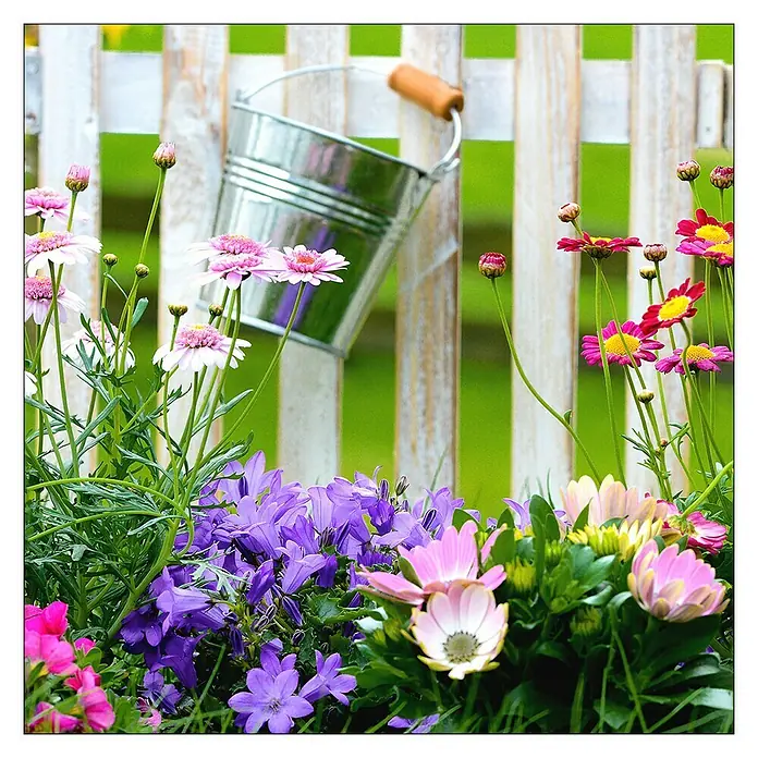 Glasbild - Lovely Garden II, B x H: 20 x 20 cm - Vorderansicht