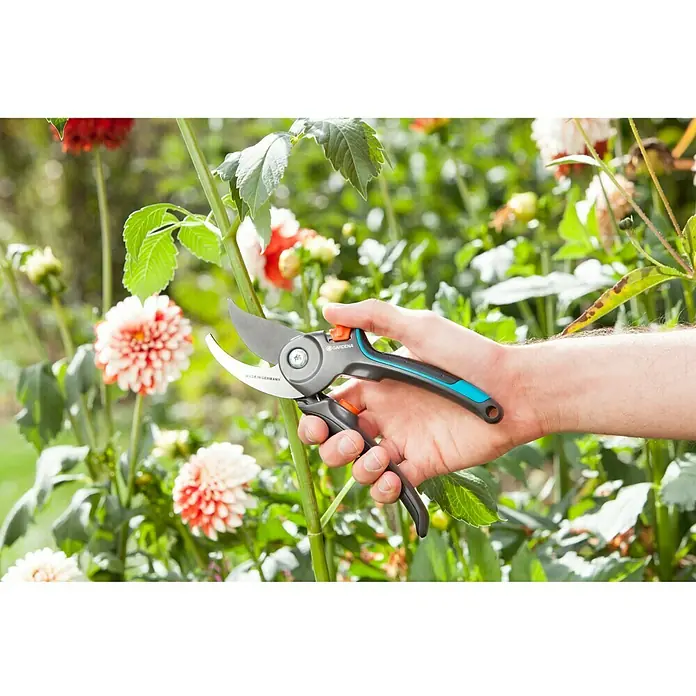 Gardena Comfort Gartenschere B/M - Bypass, Max. Aststärke: 24 mm - Anwendungsbeispiel