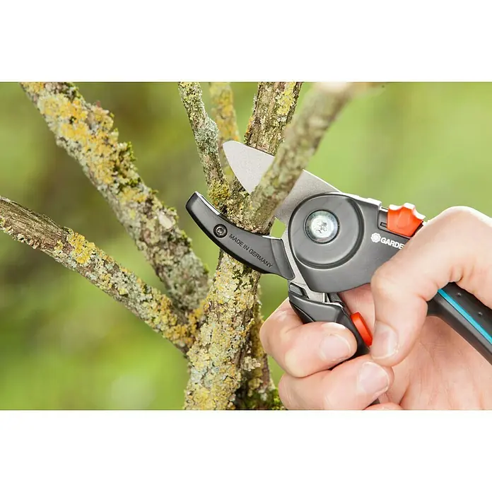 Gardena Comfort Gartenschere A/M - Amboss, Max. Aststärke: 23 mm - Anwendungsbeispiel