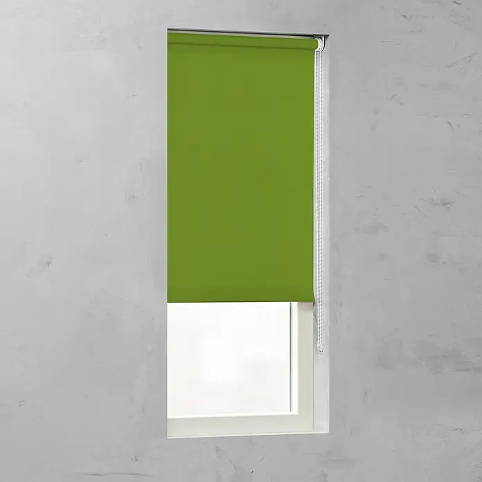 Expo Ambiente Rollo - B x H: 60 x 190 cm, Grün - Vorderansicht