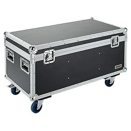 Wisent  Aufbewahrungs- & Transportbox Musik-Case