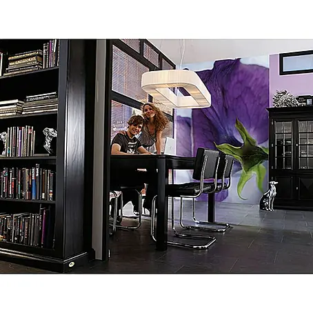 Komar  Foto tapeta Viola
