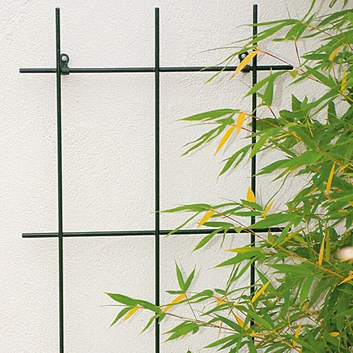 Bellissa Wandspalier - 45 x 150 cm, Anzahl Streben: 3 Stk., Durchmesser Strebe: 8 mm, Grün
