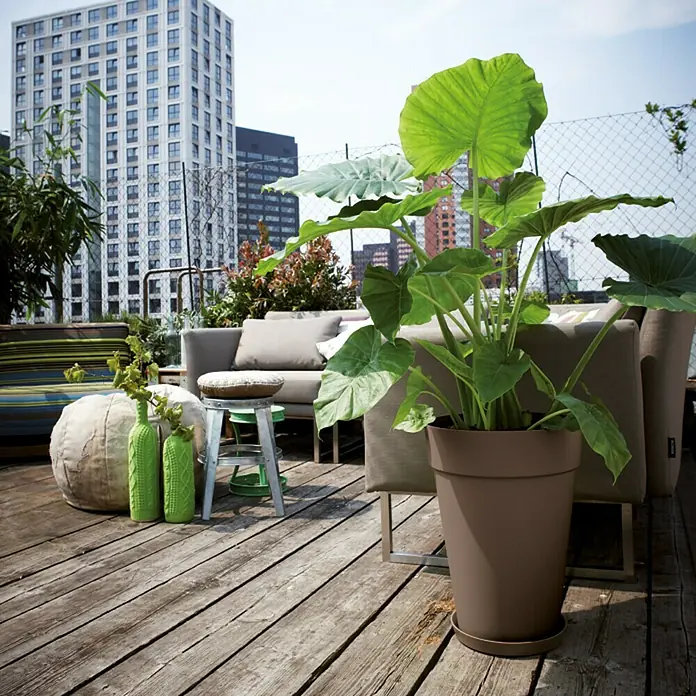 Elho Loft Urban Tegla za cvijeće - Maks. vanjski promjer: 42 cm, Visina: 56,4 cm, Plastika, Antracit - Pogled sprijeda