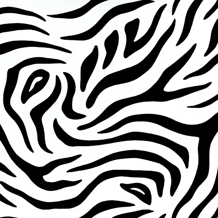 D-c-fix Samoljepljiva folija s motivom - Zebra, Crno-bijele boje, 200 x 45 cm, Samoljepljivo
