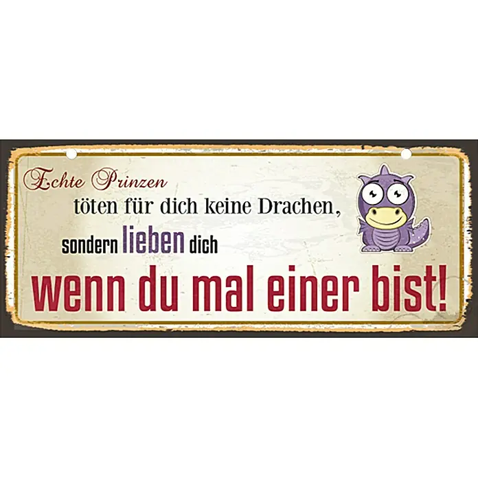 Blechschild - Antik/Vintage/Retro, 60 x 25 cm, Prinzen und Drachen