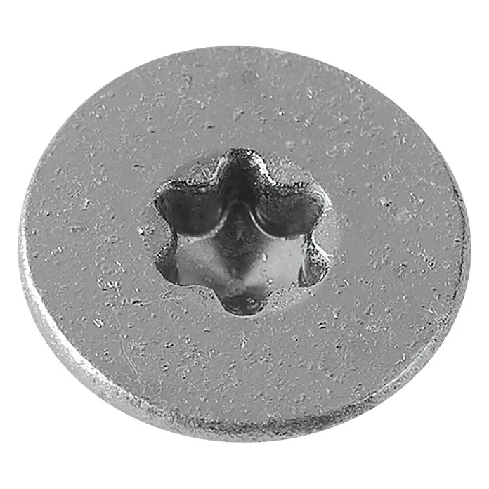 Profi Depot Spanplattenschraube A2 - Durchmesser: 4,5 mm, Länge: 60 mm, Edelstahl, TX für TORX-Antriebe, Teilgewinde, 100 Stk.