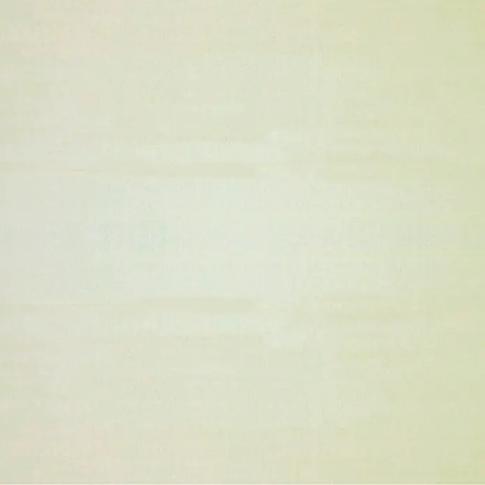 Expo Ambiente Panel zavjesa - Bež boje, Š x V: 60 x 300 cm