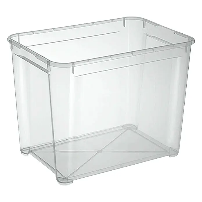 Regalux Prozirna kutija za skladištenje XL - D x Š x V: 54,8 x 38,4 x 42,2 cm, 70 l, Prozirno