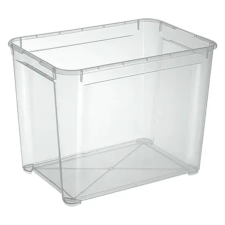 Regalux  Prozirna kutija za skladištenje XL