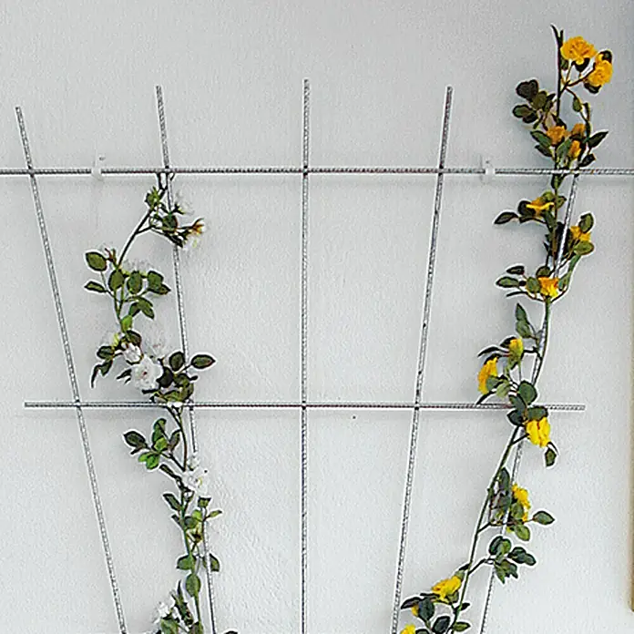 Bellissa Rosenspalier - Weiß, B x H: 72 x 150 cm