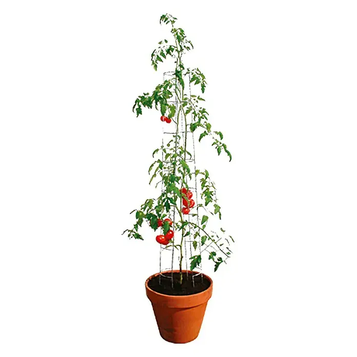 Bellissa Toranj za rajčice - Visina: 120 cm, Promjer: 13 cm