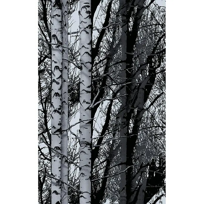 D-c-fix Trendyline Holzoptikfolie - 200 x 67,5 cm, Wood, Schwarz/Weiß, Selbstklebend