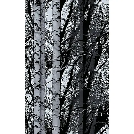 D-c-fix Trendyline Holzoptikfolie
