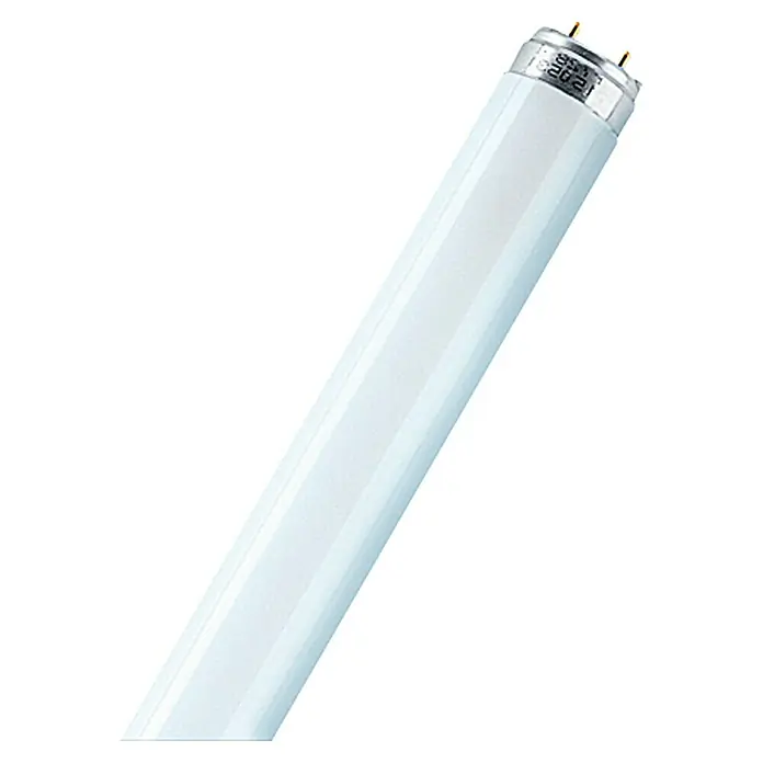 Osram Leuchtstoffröhre Interna - T8, Warmweiß, 18 W, Länge: 60 cm