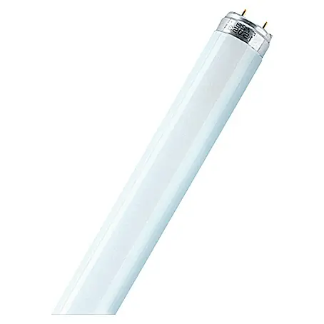 Osram  Leuchtstoffröhre Interna