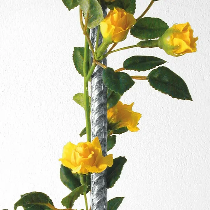 Bellissa Pflanzenstab - 120 cm, Durchmesser: 10 mm - Detailaufnahme