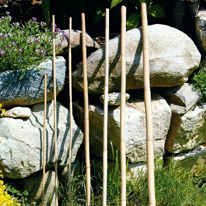 Bellissa Bambusstab - 90 cm - Stimmungsaufnahme