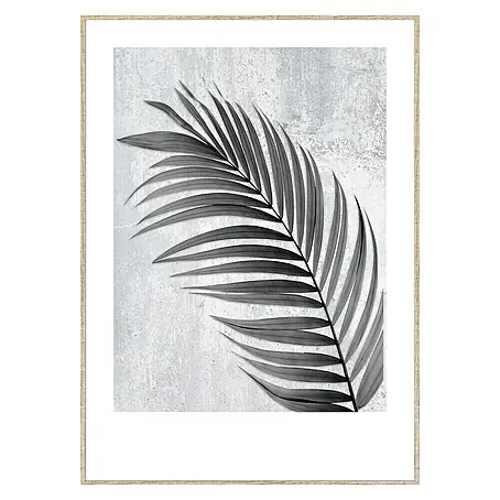 Cuadro hoja Palmera