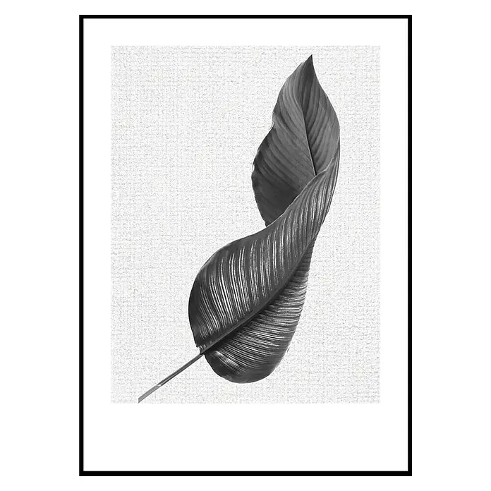 Cuadro hoja Doblada - Vegetal, An x Al: 50 x 70 cm, 1 pzs.