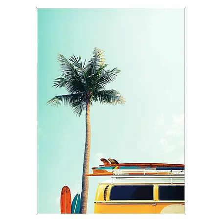 Cuadro Palmera Van