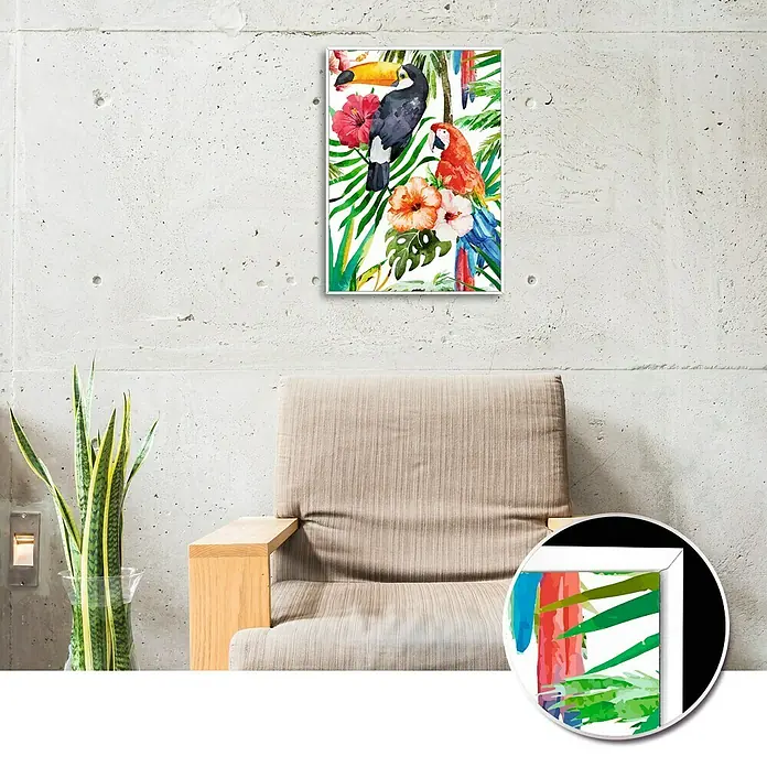 Cuadro Tucan - Animales tropicales, An x Al: 50 x 70 cm