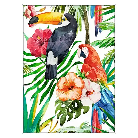 Cuadro Tucan