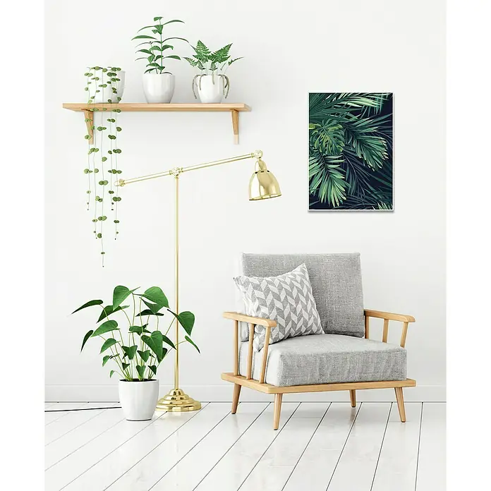 Cuadro hojas Palmera - Vegetal, An x Al: 50 x 70 cm, 1 pzs.