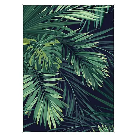 Cuadro hojas Palmera