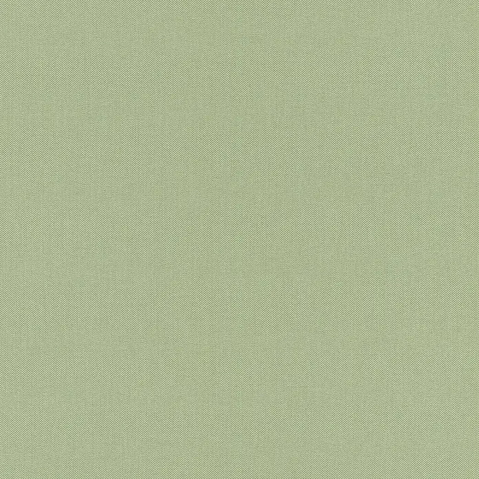 Rasch Vliestapete - Grün, Uni, 10,05 x 0,53 m - Vorderansicht