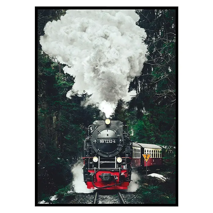 Cuadro Tren de vapor - Steam train, An x Al: 81 x 61 cm