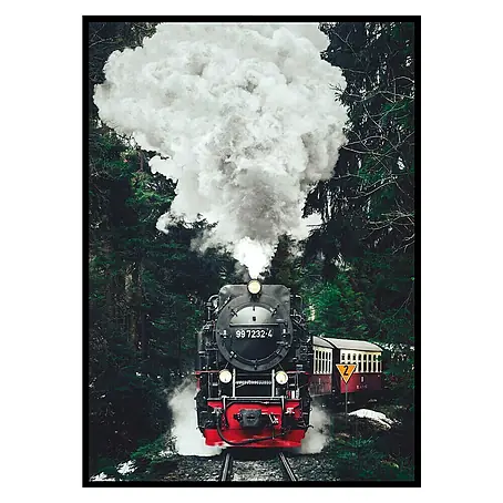 Cuadro Tren de vapor