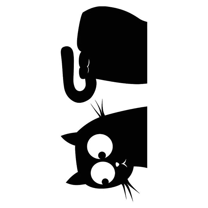 Adhesivos decorativos Gato y pez - Negro/blanco