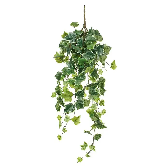 Planta artificial Hiedra - Altura: 71 cm, Verde oscuro, Plástico