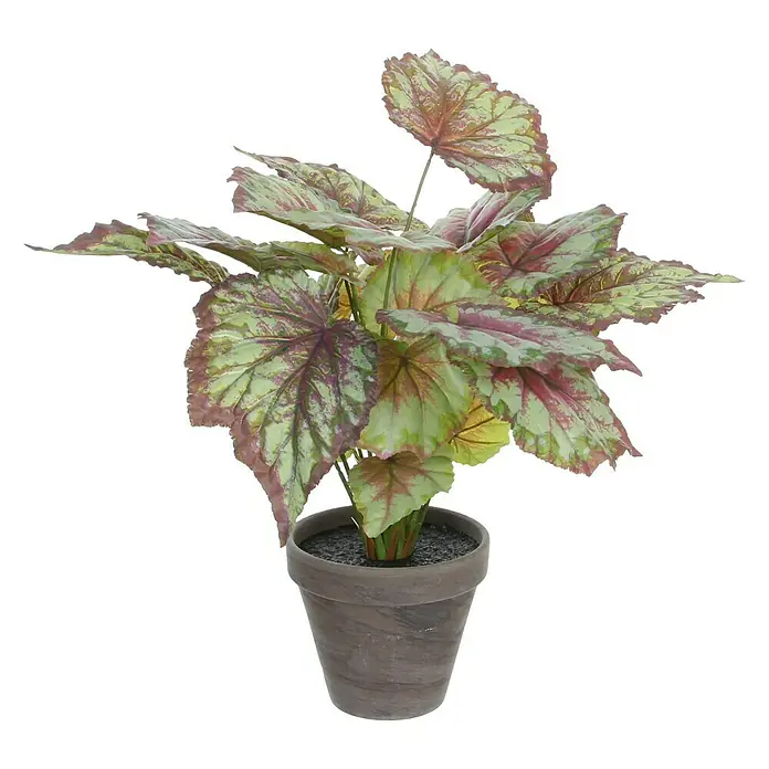 Planta artificial Begonia - Altura: 40 cm, Verde, Plástico