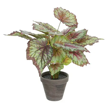 Planta artificial Begonia
