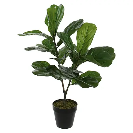 Planta artificial Ficus Lyrata